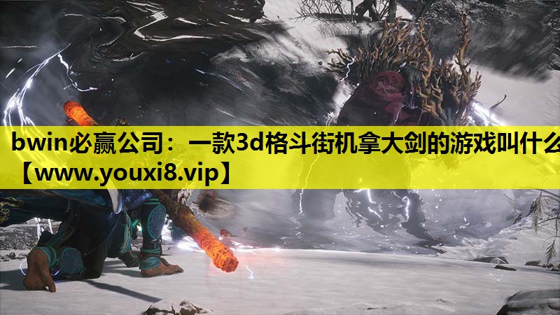 bwin必赢公司：一款3d格斗街机拿大剑的游戏叫什么