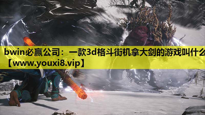 一款3d格斗街机拿大剑的游戏叫什么