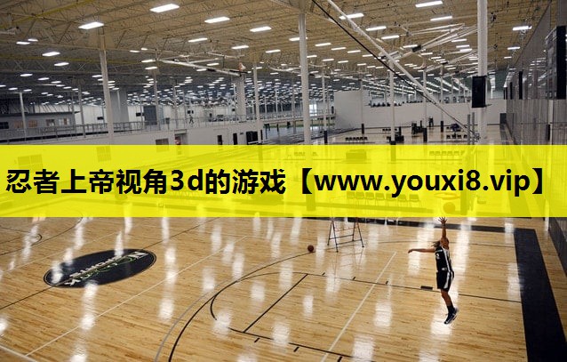 忍者上帝视角3d的游戏