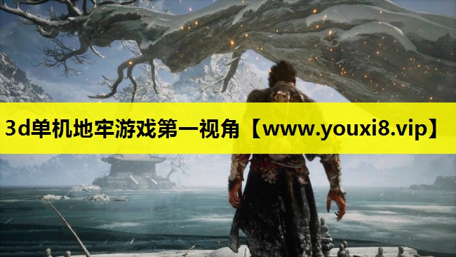 3d单机地牢游戏第一视角