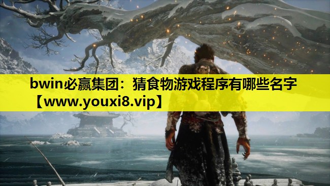 猜食物游戏程序有哪些名字